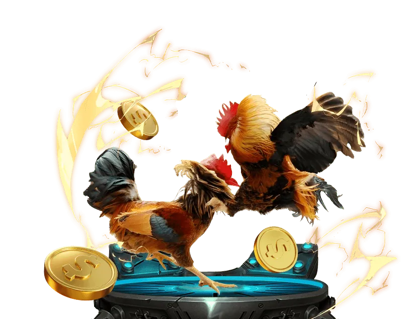 Các bước đăng ký tài khoản zv99